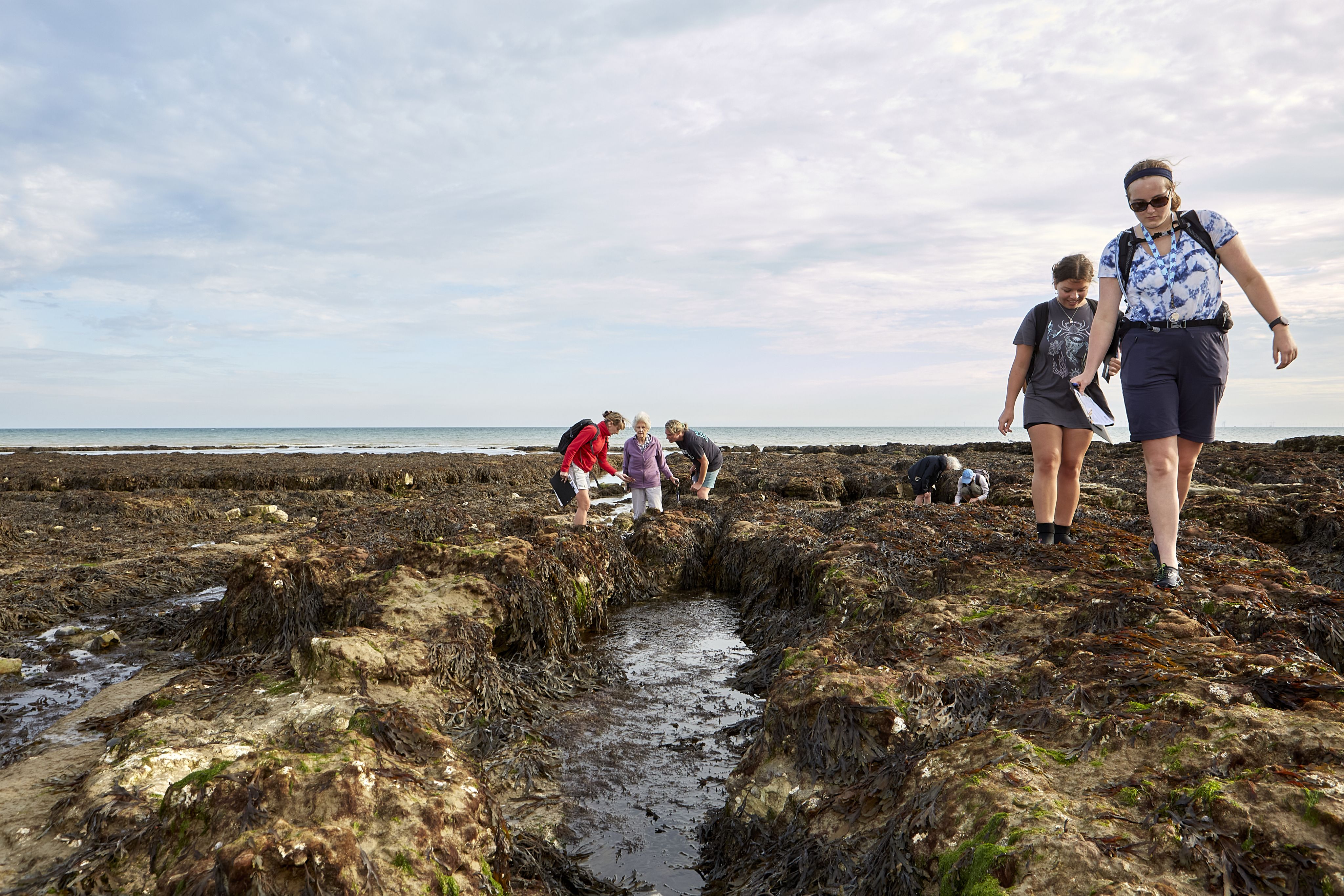 People taking part in the Big Seaweed Search on Rottingdean Beach