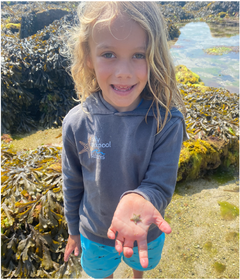 A boy by a rockpool showing the cushion star he found