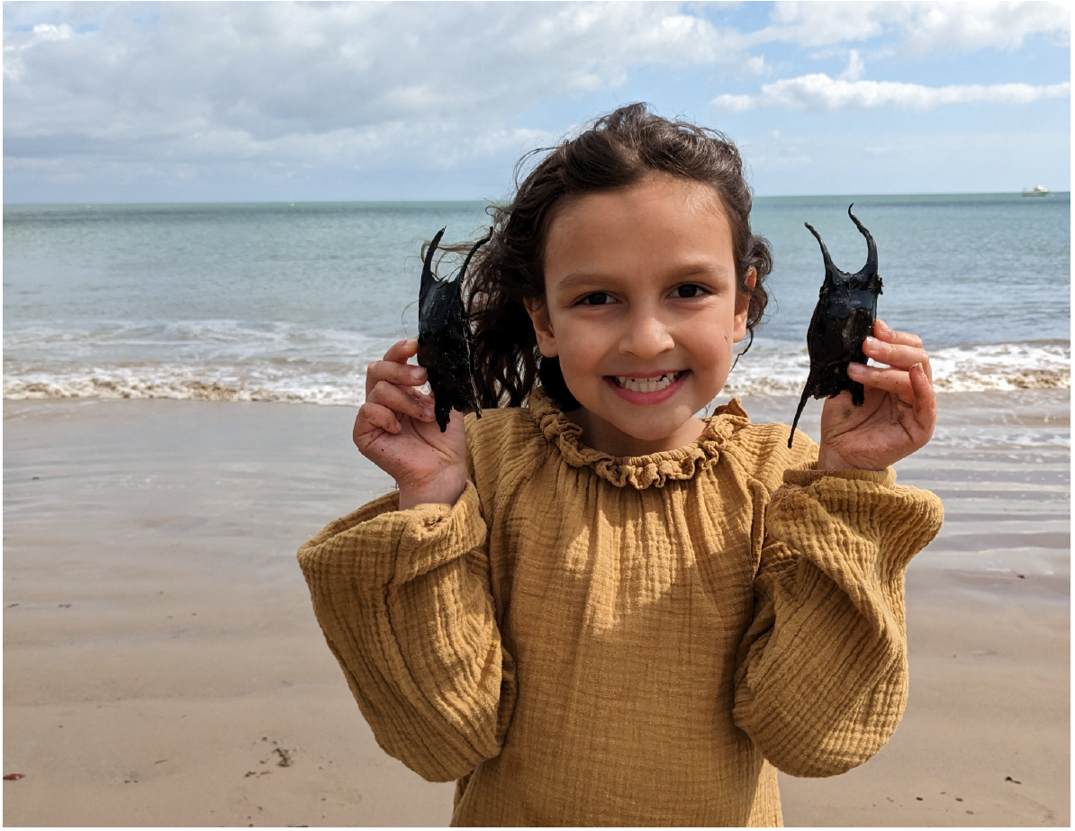 A girl on the beach holding up two mermaid's purses with the sea behind her