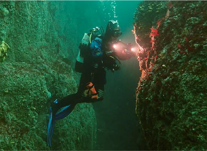 Libby diving and surveying rocks underwater