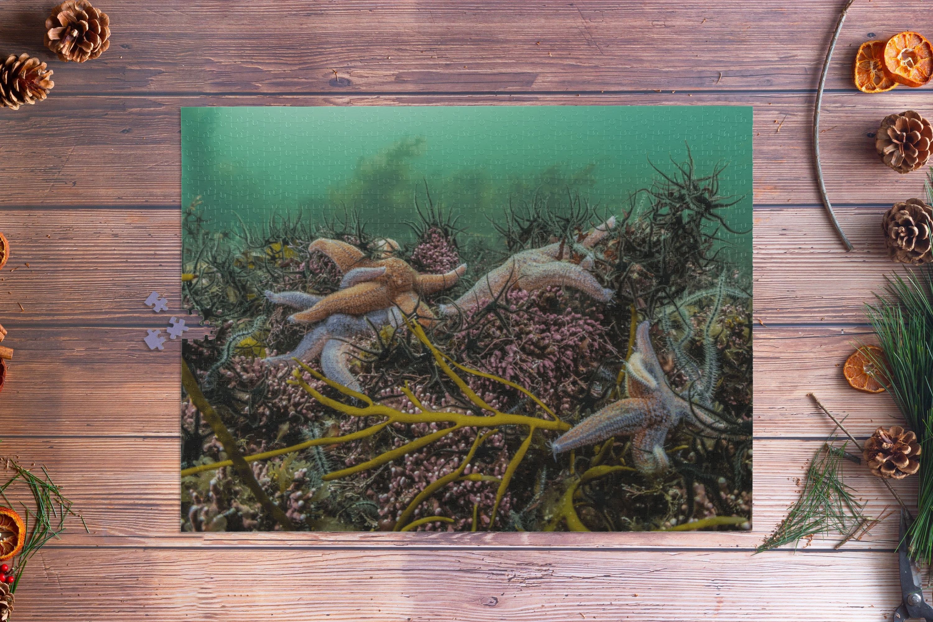 Completed starfish jigsaw puzzle